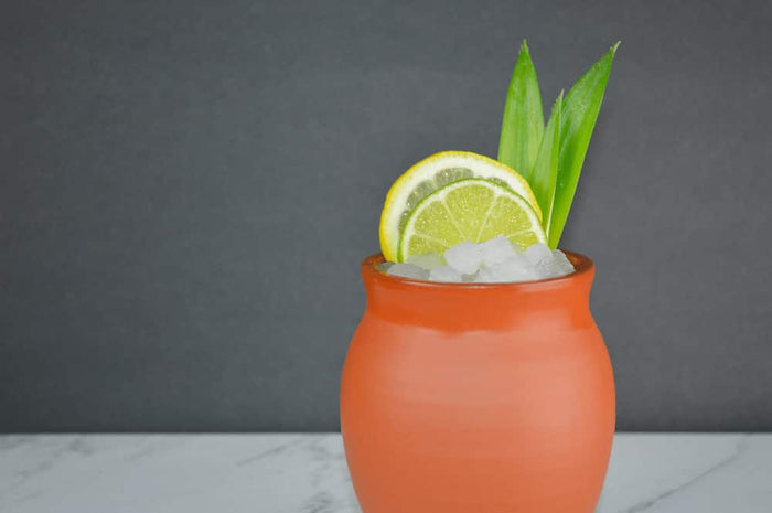 Jalisco Jug for Tequila, Mezcal & Hot Drinks. Matte finish Jalisco jug shown with small ice cubes, cut citrus, and green garnish.